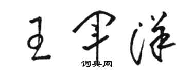 骆恒光王军洋草书个性签名怎么写