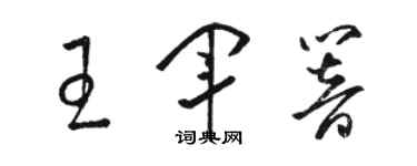 骆恒光王军响草书个性签名怎么写