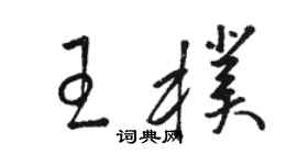 骆恒光王朴草书个性签名怎么写