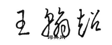 骆恒光王翰超草书个性签名怎么写