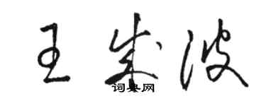 骆恒光王成波草书个性签名怎么写