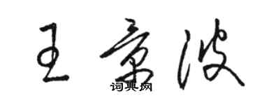 骆恒光王景波草书个性签名怎么写