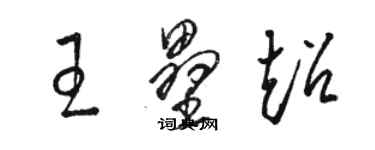 骆恒光王垒超草书个性签名怎么写
