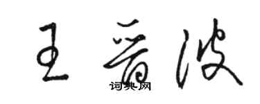 骆恒光王晋波草书个性签名怎么写