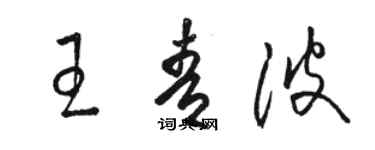 骆恒光王青波草书个性签名怎么写