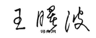 骆恒光王曙波草书个性签名怎么写