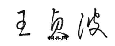 骆恒光王贞波草书个性签名怎么写