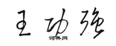 骆恒光王功强草书个性签名怎么写