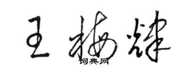 骆恒光王梅辉草书个性签名怎么写