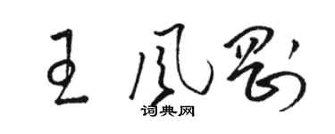 骆恒光王风刚草书个性签名怎么写