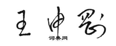 骆恒光王申刚草书个性签名怎么写