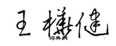 骆恒光王桦健草书个性签名怎么写