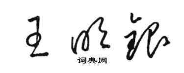 骆恒光王明银草书个性签名怎么写