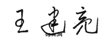 骆恒光王建亮草书个性签名怎么写