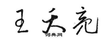 骆恒光王夭亮草书个性签名怎么写