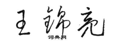 骆恒光王锦亮草书个性签名怎么写