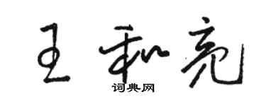骆恒光王和亮草书个性签名怎么写