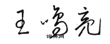 骆恒光王鸣亮草书个性签名怎么写