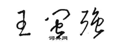骆恒光王闽强草书个性签名怎么写