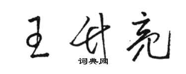 骆恒光王竹亮草书个性签名怎么写