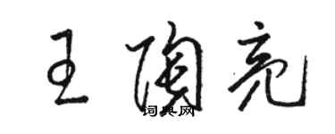 骆恒光王陶亮草书个性签名怎么写