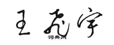骆恒光王飞宇草书个性签名怎么写