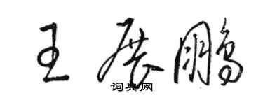 骆恒光王展鹏草书个性签名怎么写