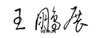 骆恒光王鹏展草书个性签名怎么写