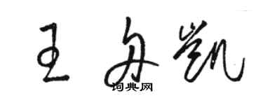 骆恒光王舟凯草书个性签名怎么写