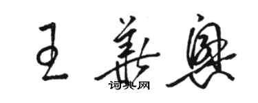 骆恒光王华兴草书个性签名怎么写