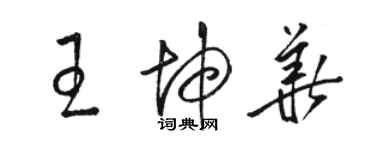 骆恒光王坤华草书个性签名怎么写