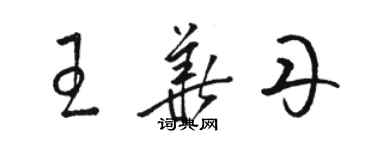 骆恒光王华丹草书个性签名怎么写
