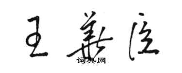 骆恒光王华臣草书个性签名怎么写