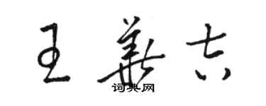 骆恒光王华吉草书个性签名怎么写