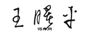 骆恒光王曙平草书个性签名怎么写