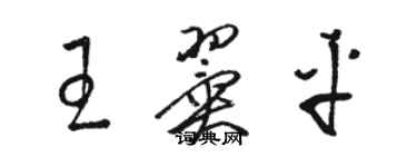 骆恒光王翼平草书个性签名怎么写