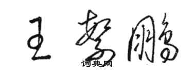 骆恒光王繁鹏草书个性签名怎么写