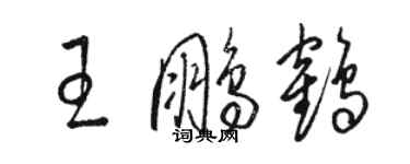 骆恒光王鹏鹤草书个性签名怎么写