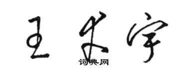 骆恒光王幸宇草书个性签名怎么写