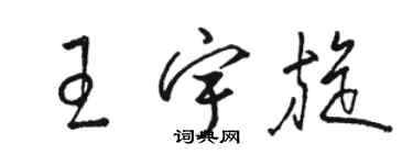 骆恒光王宇旋草书个性签名怎么写