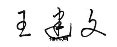 骆恒光王建文草书个性签名怎么写