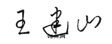 骆恒光王建山草书个性签名怎么写