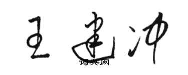 骆恒光王建冲草书个性签名怎么写