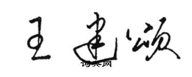 骆恒光王建颂草书个性签名怎么写