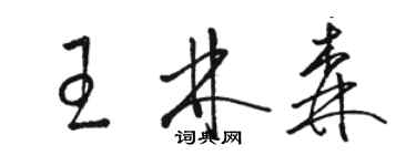 骆恒光王林森草书个性签名怎么写