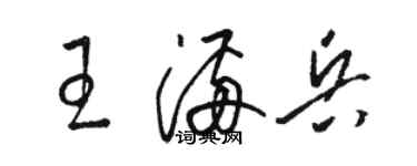 骆恒光王满兵草书个性签名怎么写