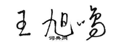 骆恒光王旭鸣草书个性签名怎么写
