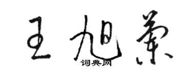 骆恒光王旭兰草书个性签名怎么写