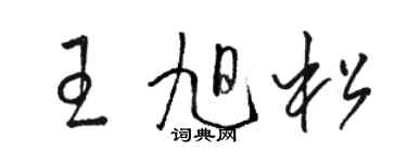 骆恒光王旭松草书个性签名怎么写
