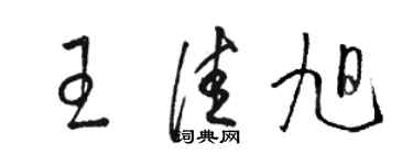 骆恒光王佳旭草书个性签名怎么写